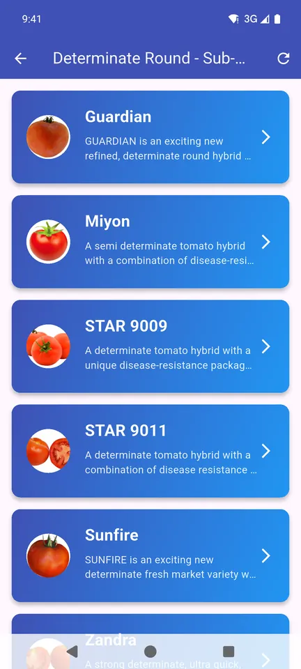 Tomato sub-varieties